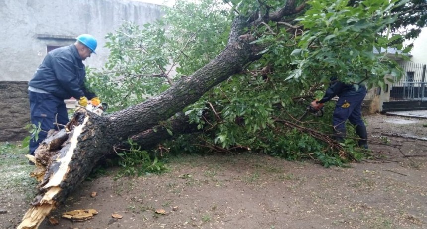 LA PROVINCIA ASISTIRÁ A LOCALIDADES DEL SUDESTE