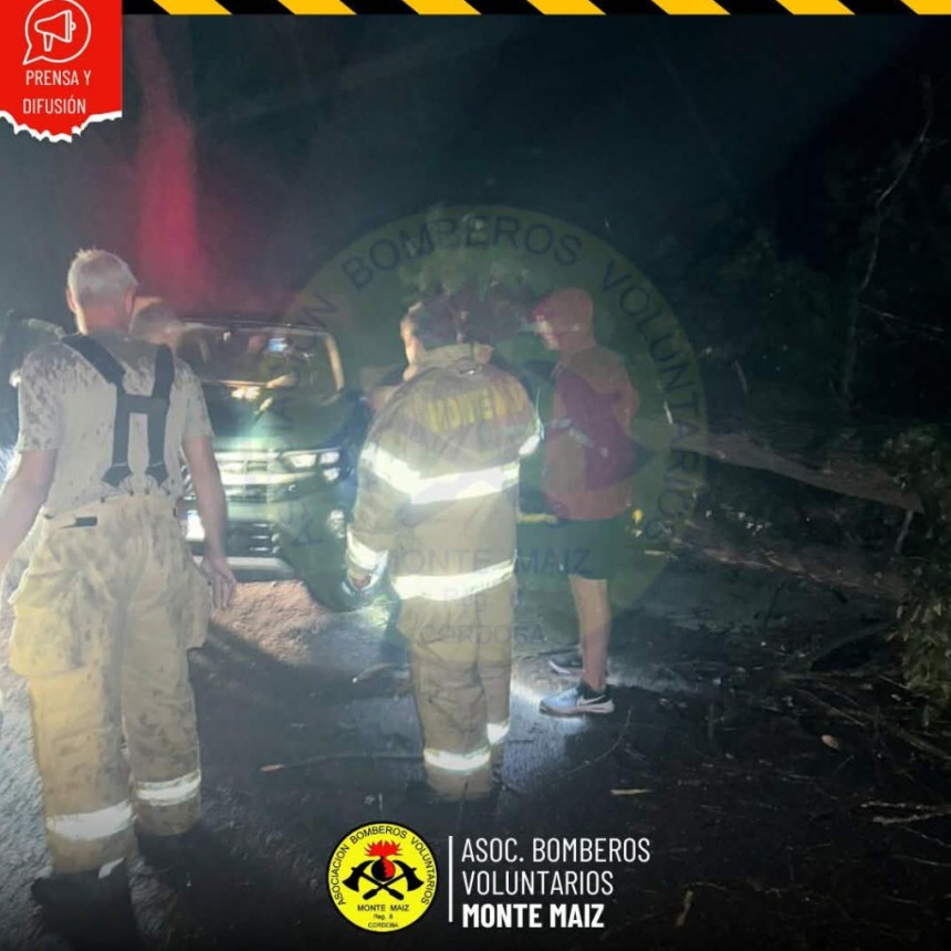 CAY&Oacute; UN &Aacute;RBOL SOBRE UNA CAMIONETA