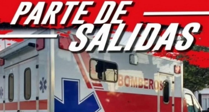 DOS CA&Iacute;DAS MOTIVARON ACCIONAR DE BOMBEROS